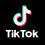 TikTok highlights its value to brands and search experience